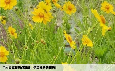 个人自媒体热点跟进，借势涨粉的技巧！