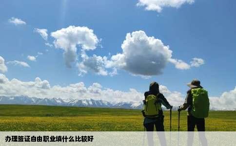 办理签证自由职业填什么比较好