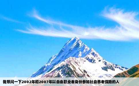 我想问一下2002年和2007年以自由职业者身份参加社会养老保险的人