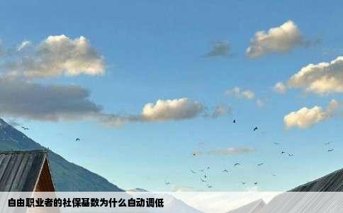 自由职业者的社保基数为什么自动调低