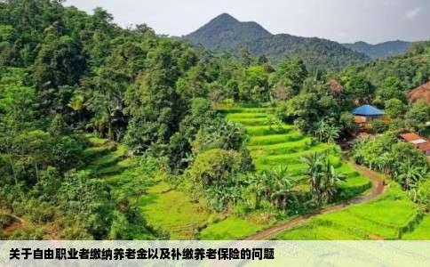 关于自由职业者缴纳养老金以及补缴养老保险的问题