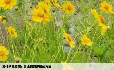 男性护肤指南：男士唇部护理的方法