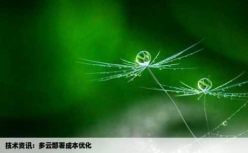 技术资讯：多云部署成本优化