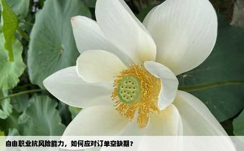 自由职业抗风险能力，如何应对订单空缺期？