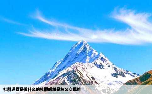 社群运营是做什么的社群吸粉是怎么实现的