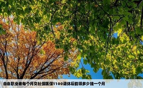 自由职业者每个月交社保医保1100退休后能领多少钱一个月