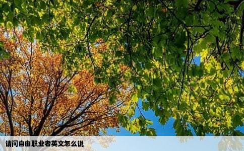 请问自由职业者英文怎么说