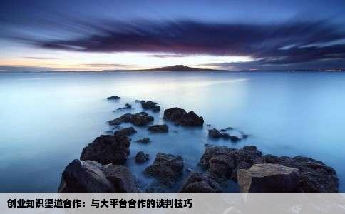 创业知识渠道合作：与大平台合作的谈判技巧