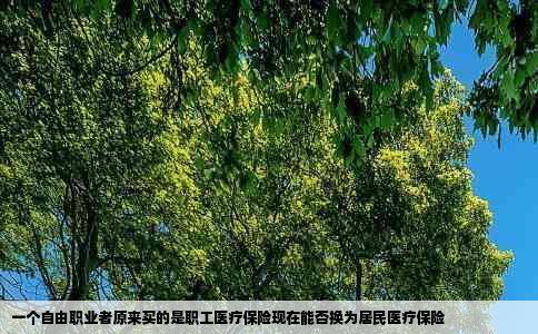 一个自由职业者原来买的是职工医疗保险现在能否换为居民医疗保险