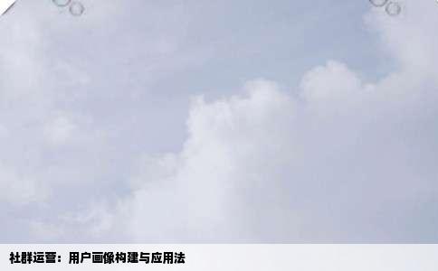 社群运营：用户画像构建与应用法