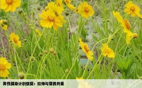 男性健身计划恢复：拉伸与营养并重