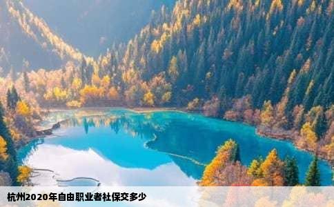 杭州2020年自由职业者社保交多少