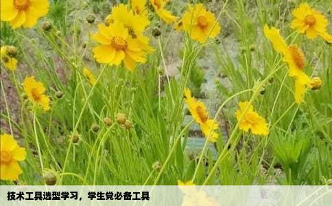 技术工具选型学习，学生党必备工具