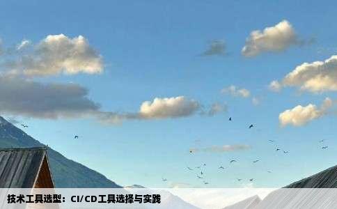 技术工具选型：CI/CD工具选择与实践