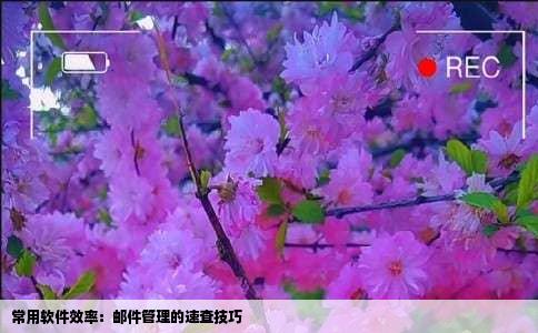 常用软件效率：邮件管理的速查技巧