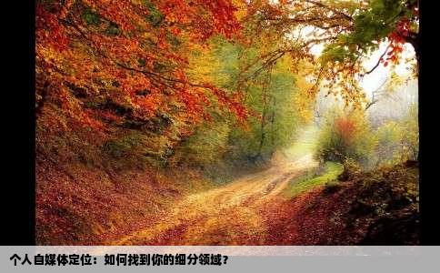 个人自媒体定位：如何找到你的细分领域？