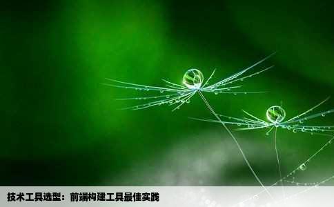 技术工具选型：前端构建工具最佳实践