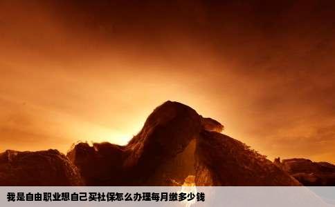 我是自由职业想自己买社保怎么办理每月缴多少钱