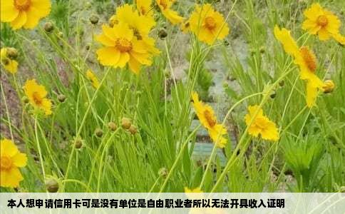 本人想申请信用卡可是没有单位是自由职业者所以无法开具收入证明