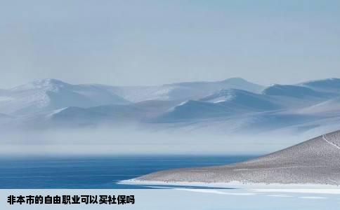 非本市的自由职业可以买社保吗