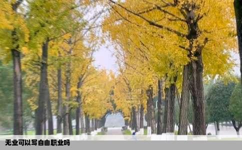 无业可以写自由职业吗