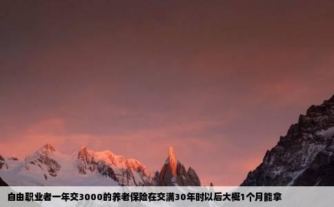自由职业者一年交3000的养老保险在交满30年时以后大概1个月能拿