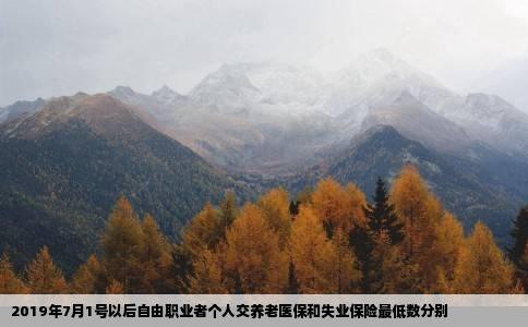 2019年7月1号以后自由职业者个人交养老医保和失业保险最低数分别