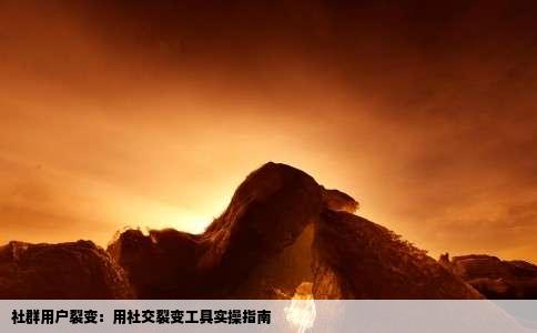 社群用户裂变：用社交裂变工具实操指南
