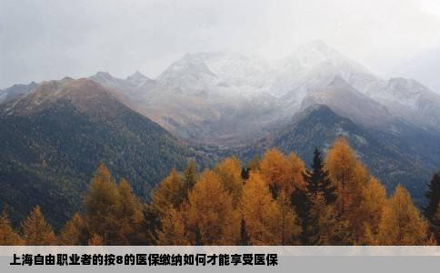 上海自由职业者的按8的医保缴纳如何才能享受医保