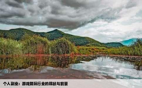 个人副业：游戏陪玩行业的现状与前景