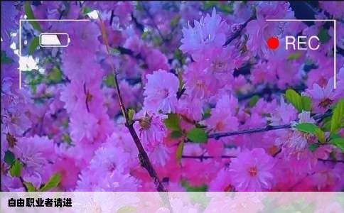 自由职业者请进