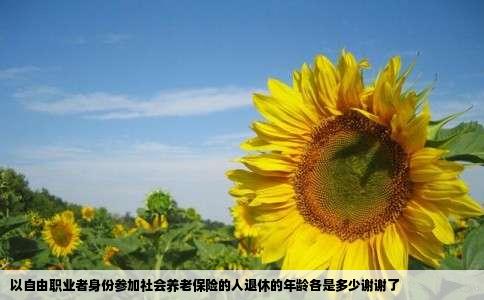 以自由职业者身份参加社会养老保险的人退休的年龄各是多少谢谢了