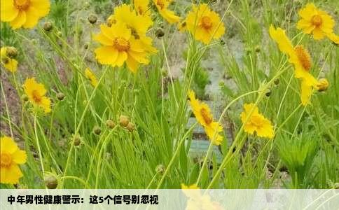 中年男性健康警示：这5个信号别忽视