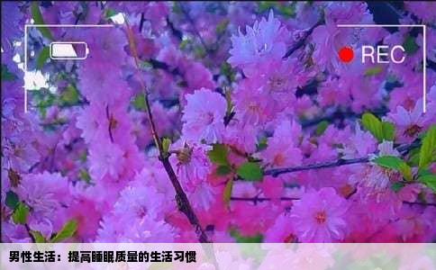 男性生活：提高睡眠质量的生活习惯