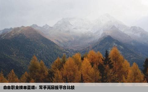 自由职业接单渠道：写手高回报平台比较