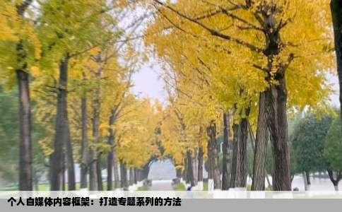 个人自媒体内容框架：打造专题系列的方法