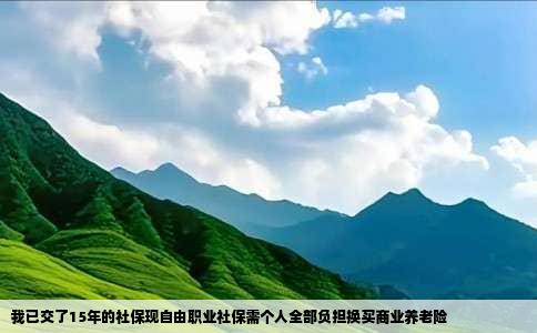 我已交了15年的社保现自由职业社保需个人全部负担换买商业养老险
