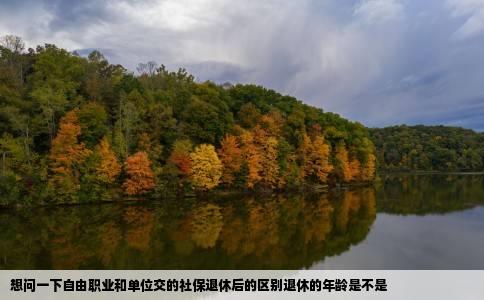 想问一下自由职业和单位交的社保退休后的区别退休的年龄是不是