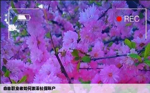 自由职业者如何激活社保账户