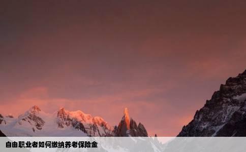 自由职业者如何缴纳养老保险金