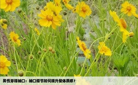男性穿搭袖口：袖口细节如何提升整体质感？
