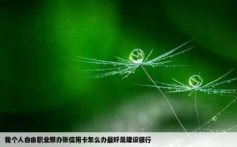 我个人自由职业想办张信用卡怎么办最好是建设银行
