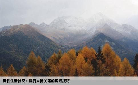 男性生活社交：提升人际关系的沟通技巧