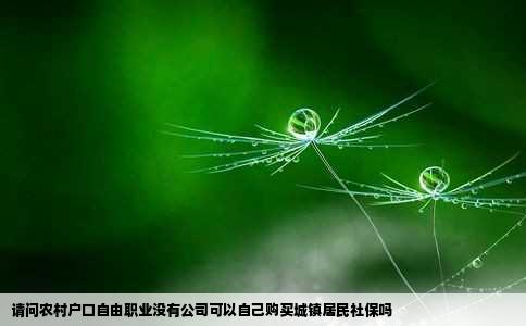 请问农村户口自由职业没有公司可以自己购买城镇居民社保吗