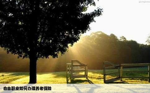 自由职业如何办理养老保险
