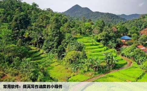 常用软件：提高写作速度的小插件