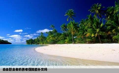 自由职业者的养老保险能补交吗