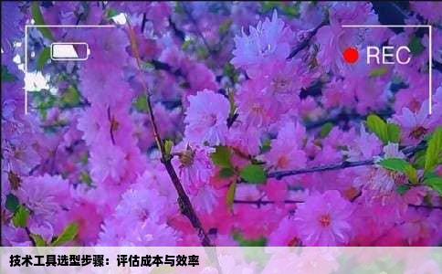 技术工具选型步骤：评估成本与效率