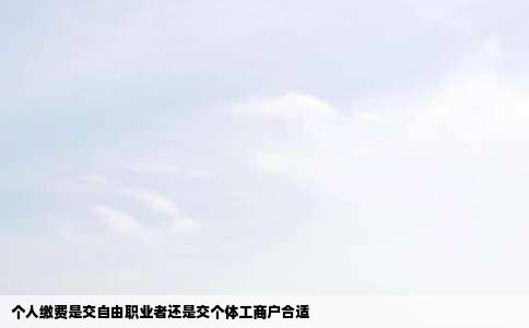 个人缴费是交自由职业者还是交个体工商户合适