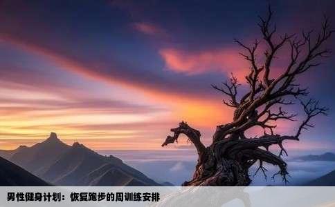 男性健身计划：恢复跑步的周训练安排